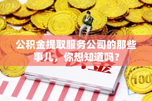 六安公积金提取服务公司的那些事儿，你想知道吗？