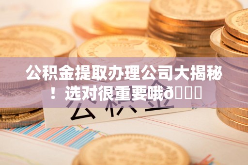 六安公积金提取办理公司大揭秘！选对很重要哦😎