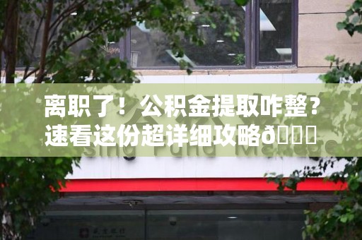 六安离职了！公积金提取咋整？速看这份超详细攻略😎